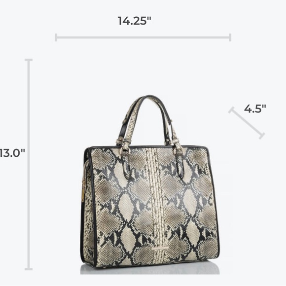 Brahmin Tia of Caviar Felix, Most Luxurious Italian Python Embossed Lthr Tote - Picture 7 of 16